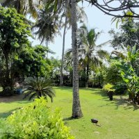 LAND FOR SALE IN HENDALA , WATTALA