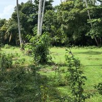 LAND FOR SALE HIKKADUWA