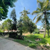 Land for sale in Gampaha