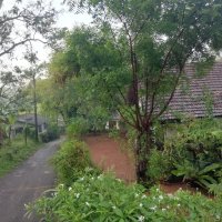 Land For Sale In Ganemulla