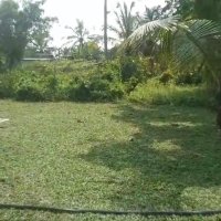 Land for SALE in Bopitiya, Ja Ela