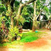 Land for SALE in Borupana Rd, Ratmalana