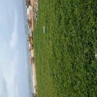 Land For sale In Mt. Lavinia with Old House